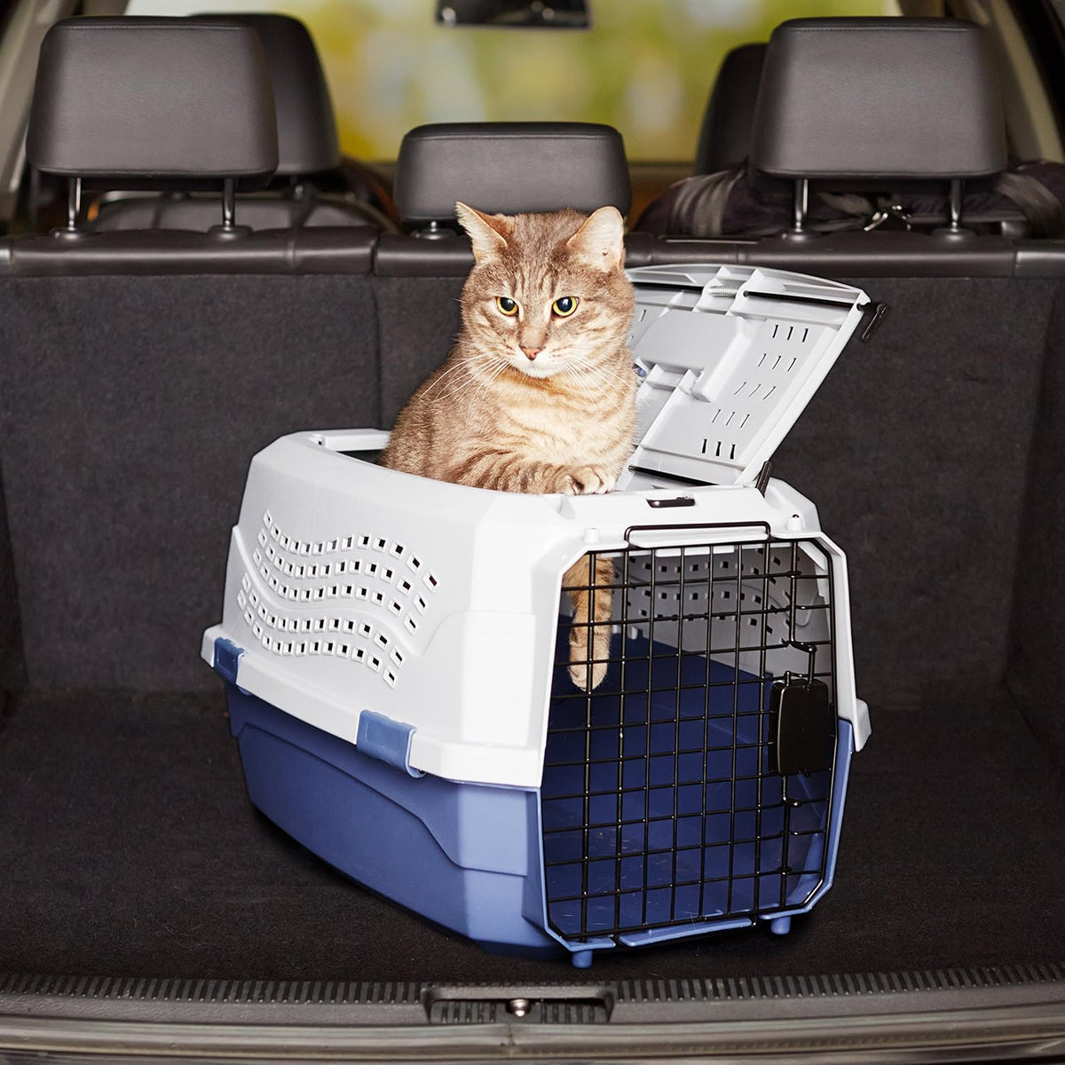 Ultimate Gray & Blue 2-Door Top-Load Pet Carrier for Safe and Comfortable Travel with Your Dog or Cat