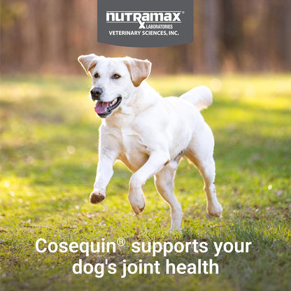 Nutramax Cosequin Joint Health Supplement for Dogs - Delicious Chewable Tablets, 132 Count for Optimal Joint Support