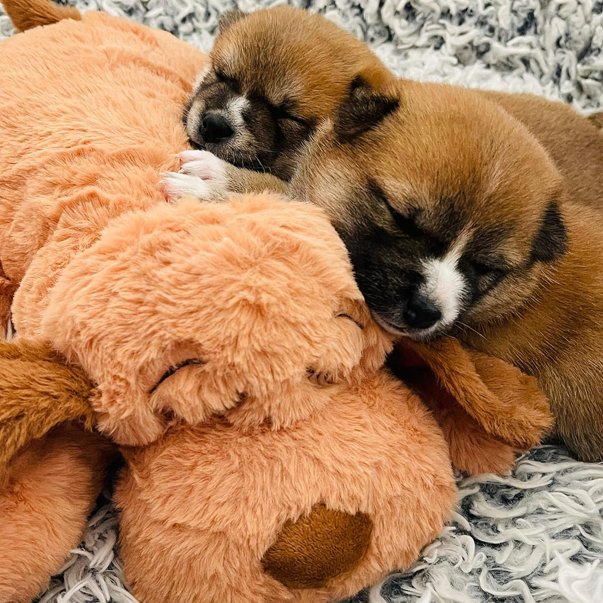 Snuggle Puppy Heartbeat Toy - The Ultimate Calming Companion for Medium Breeds in Biscuit Color