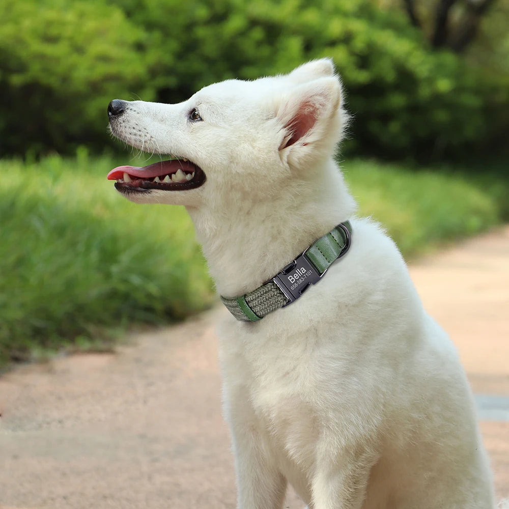 Customizable Nylon Dog Collar - Engraved Name ID Buckle Necklace for Small to Large Dogs