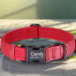 Customizable Nylon Dog Collar - Engraved Name ID Buckle Necklace for Small to Large Dogs